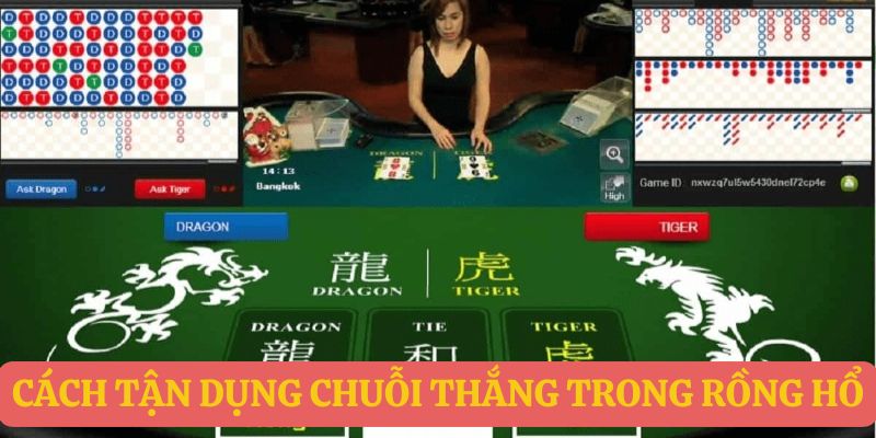 Cách tận dụng chuỗi thắng trong Rồng Hổ