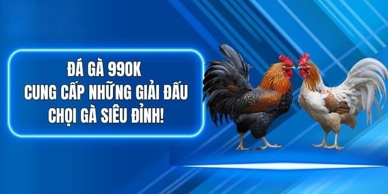 Sảnh đá gà 99OK với nhiều thế mạnh